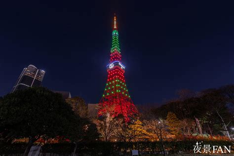 東京タワーが“グッチ色”にライトアップ 日本上陸60周年を記念